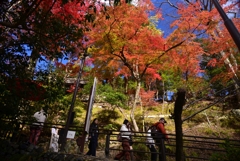 241206c嵐山27