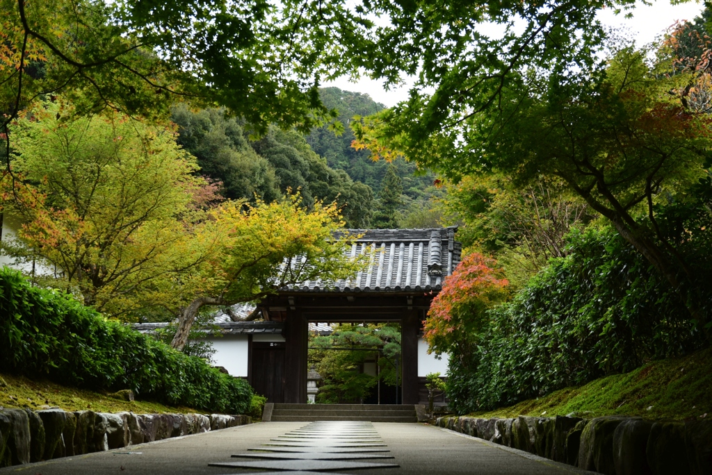 181104b南禅寺71