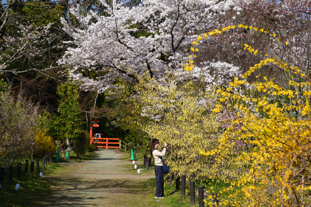 220405b京都植物園49