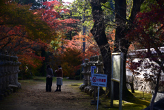 241129c佛通寺24