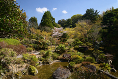 230401奈良公園53