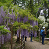 210424b萬葉植物園21