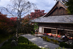 241123b金福寺13