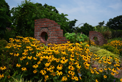 200805京都植物園49