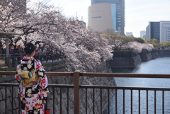 190405b大阪城13