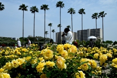 180516長居植物園39+