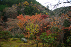 191126b高山寺34