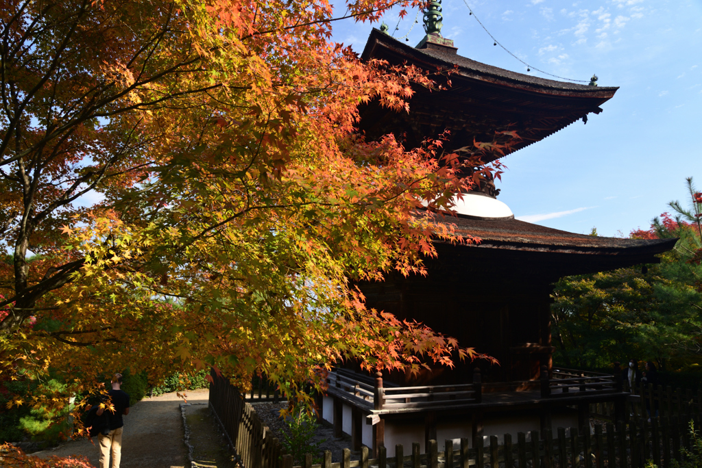 221111c常寂光寺21