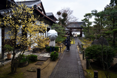 190214a妙心寺天球院17
