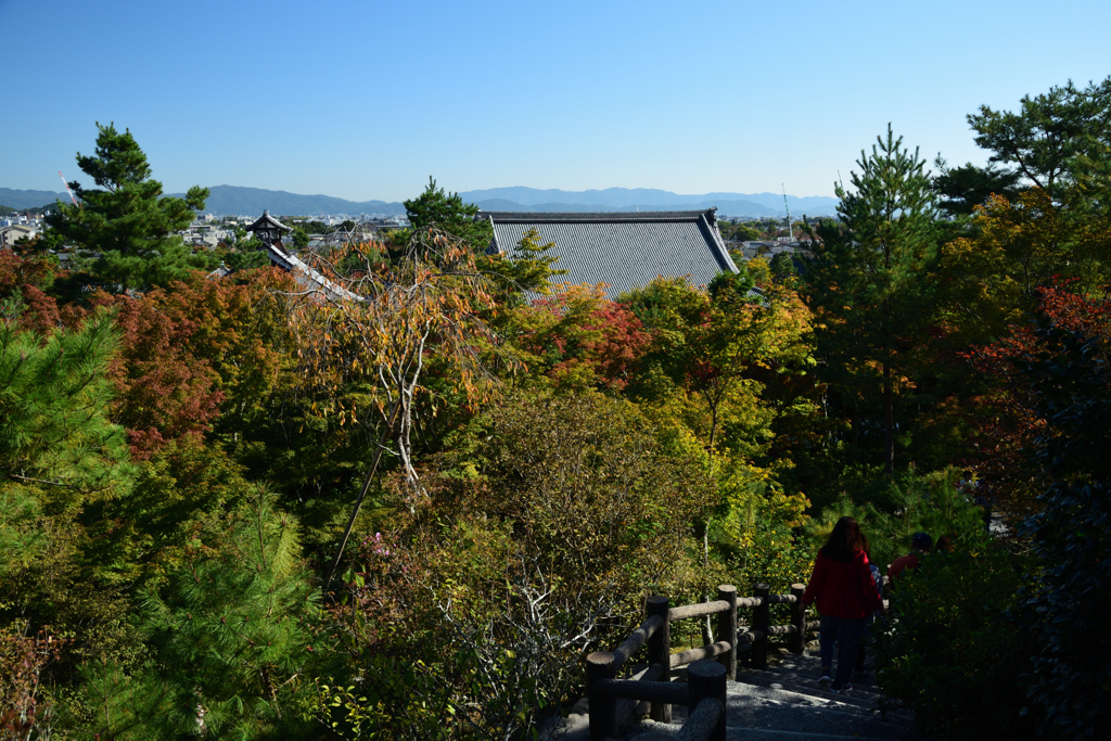 191109a天龍寺49
