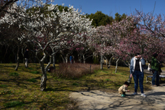 210213山田池公園33