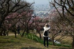 160227枚岡神社29
