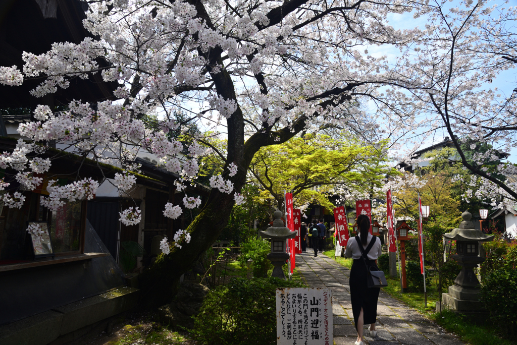 240407e長建寺01