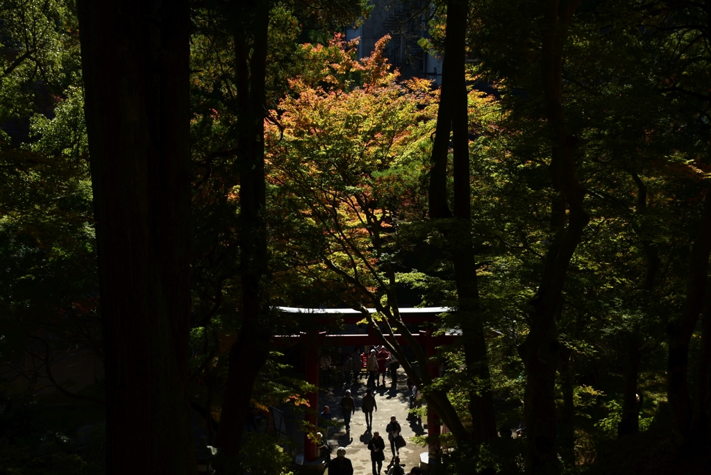 171113a談山神社44