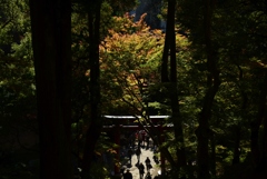 171113a談山神社44