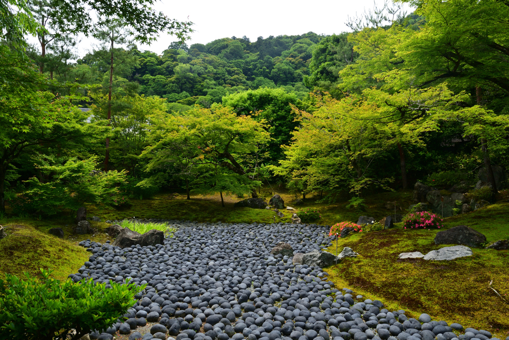 230527b宝厳院21