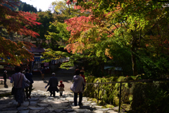 221104a大原16
