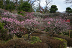 200219中山寺26 200219中山寺26