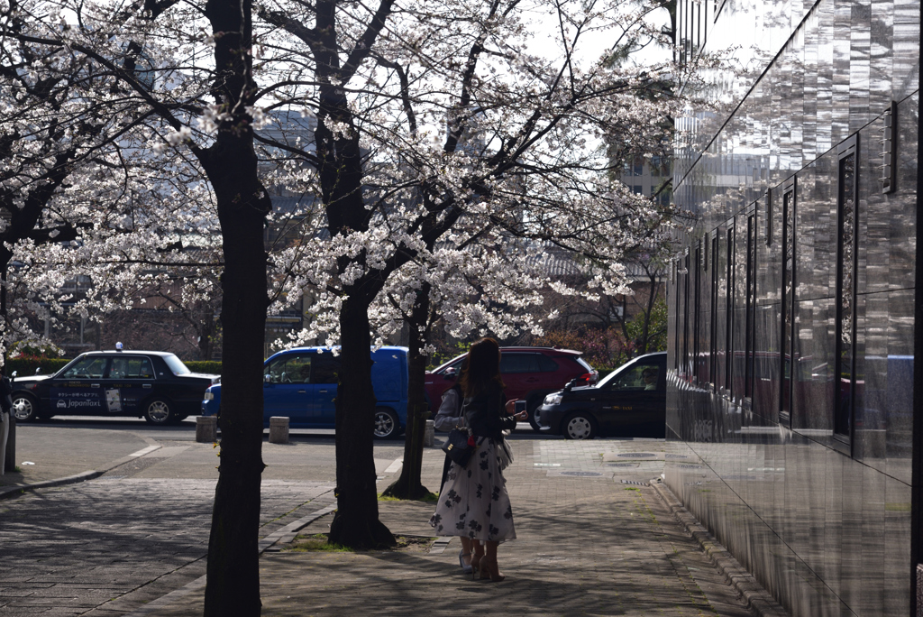 200326e祇園白川62