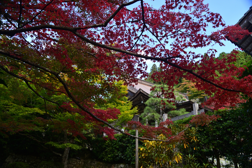 221104c大原06