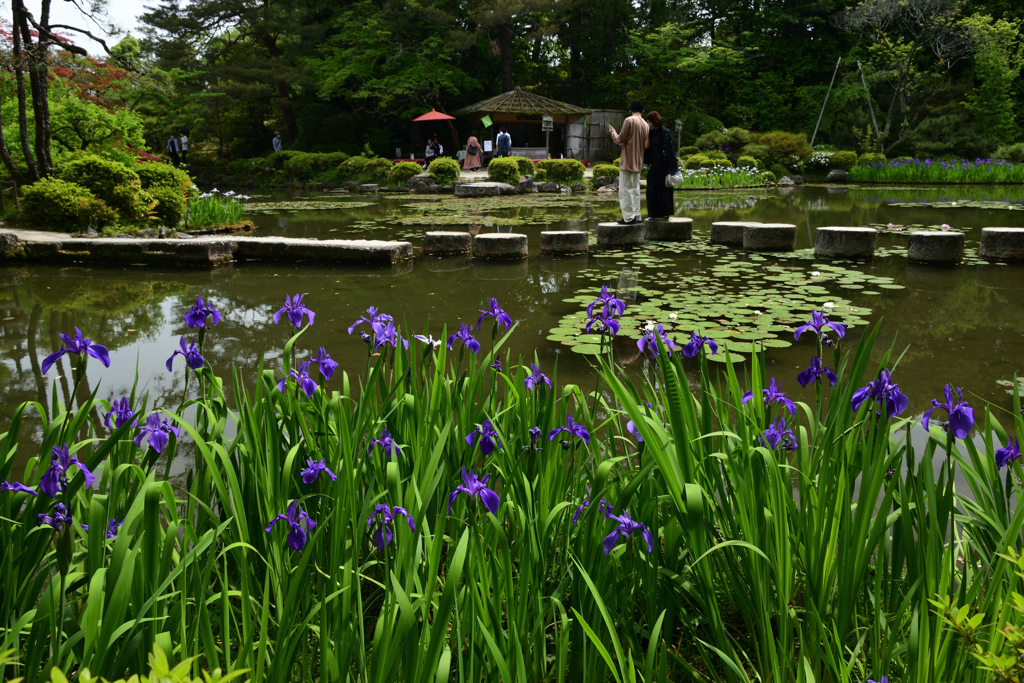 220506平安神宮39