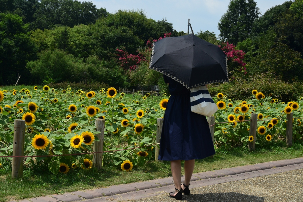 180803馬見丘陵47