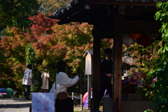 241121g勝林寺01