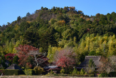 211119e嵯峨野20