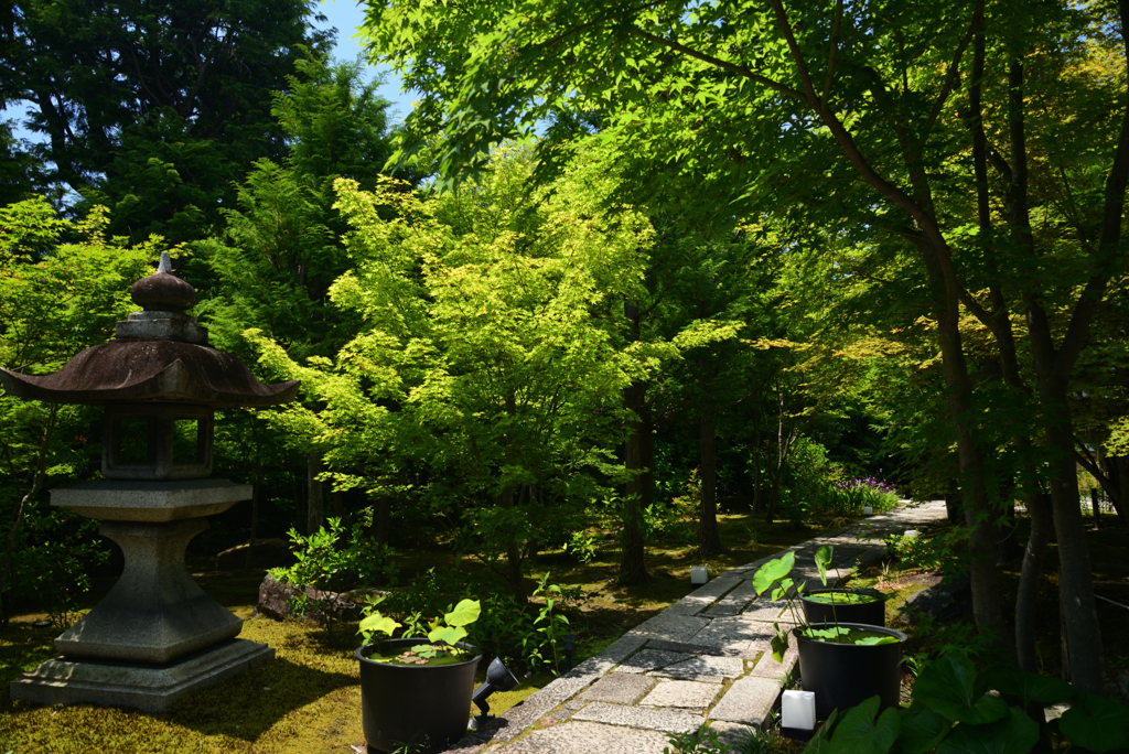220522b勝林寺06