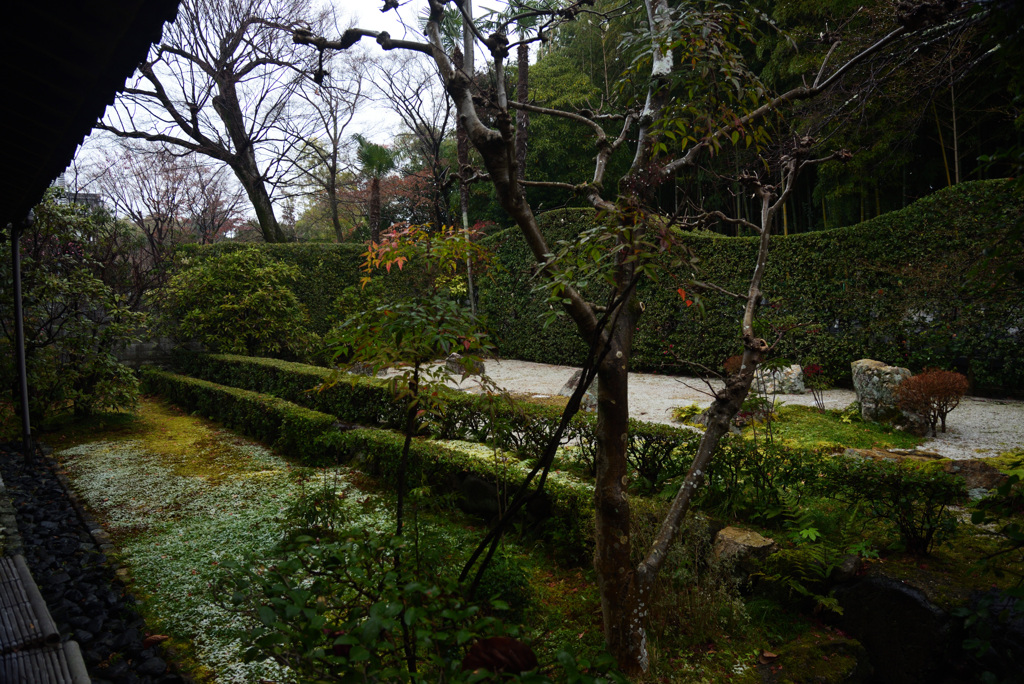210112妙心寺大心院62