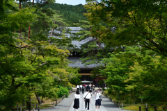 230527e南禅寺43