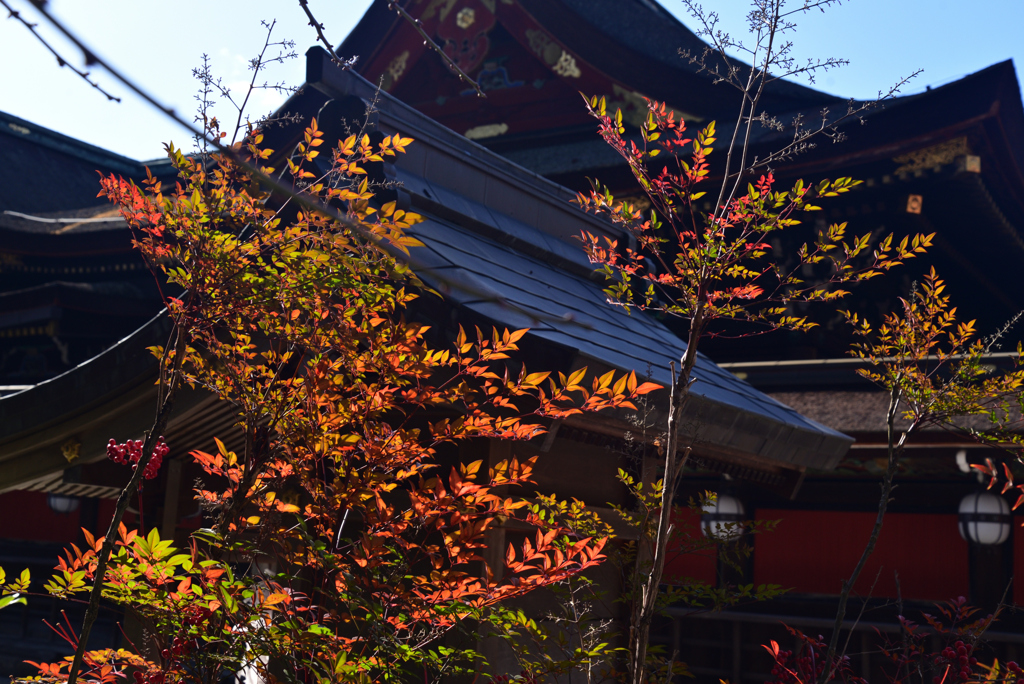 230117b北野天満宮17
