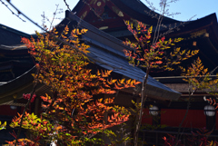 230117b北野天満宮17
