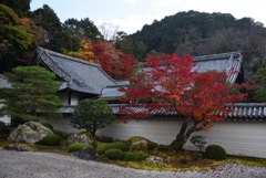 181130b南禅寺方丈14