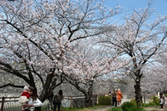 250408a大阪城15