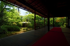 180505妙心寺16+