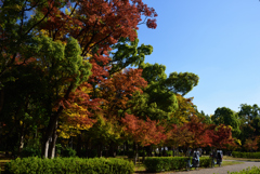 201114大阪城08