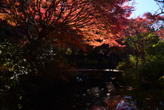211129b不退寺25