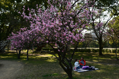 230307b京都御苑09