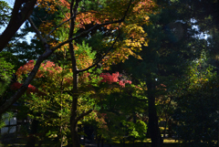 241114a清凉寺14