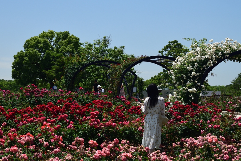 180525万博公園16