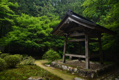 190626b大原来迎院04