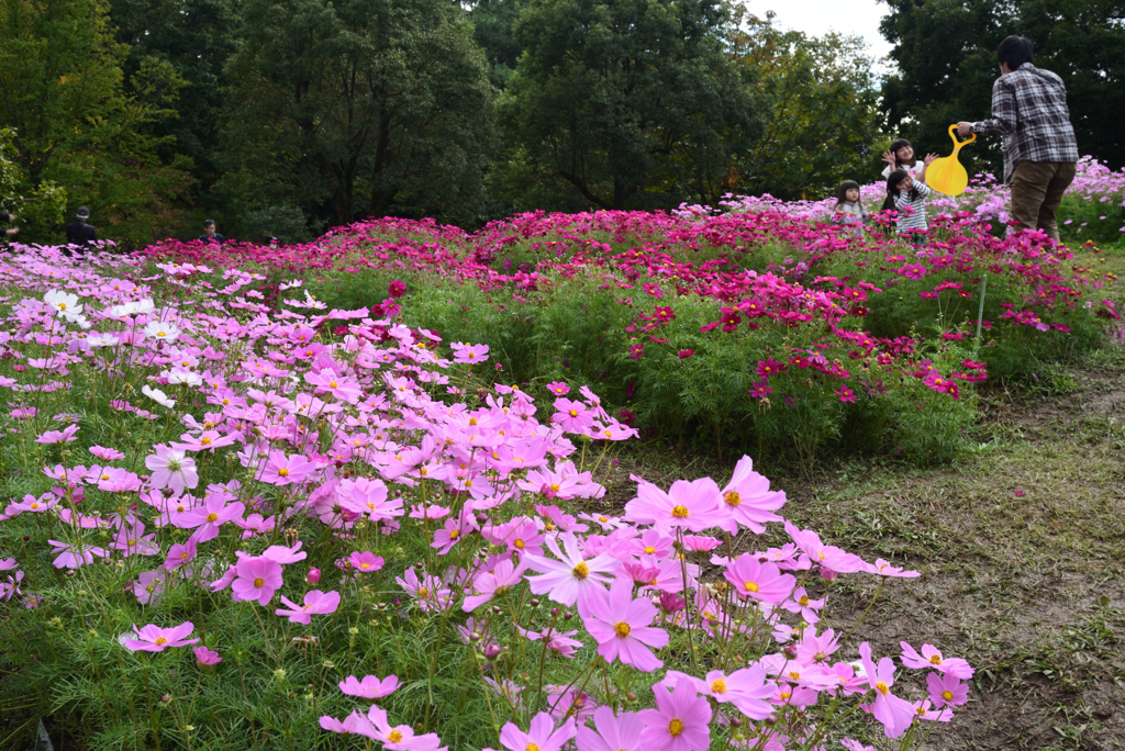 201018馬見丘陵公園07