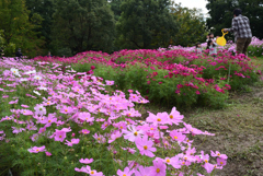 201018馬見丘陵公園07