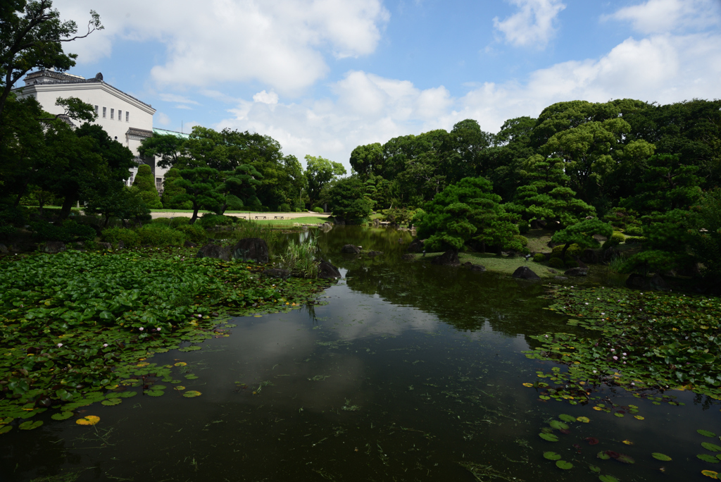 200730慶沢園10