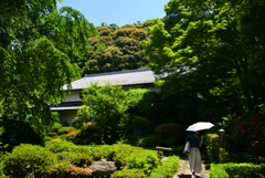 220529c安楽寺05