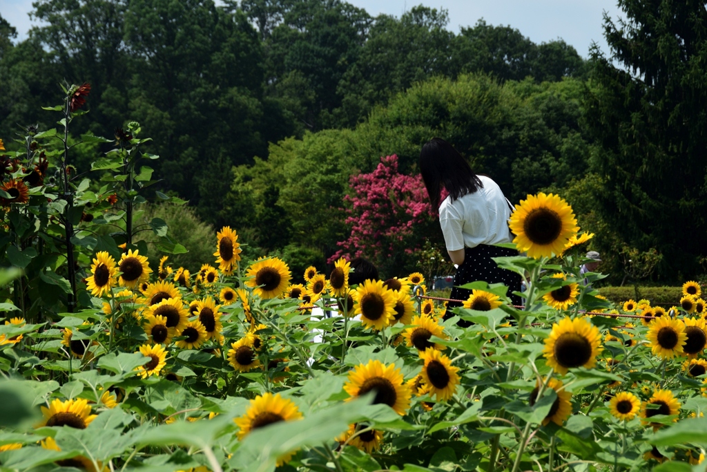 180803馬見丘陵35+