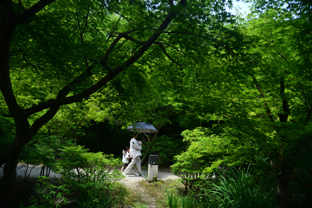 240707b梅小路公園58