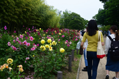 230610b長居植物園73