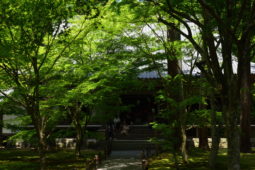 190626a大原三千院30